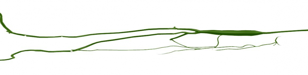 A green line drawing of a plane on white background.