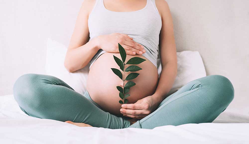 A pregnant woman holding a plant in her lap.